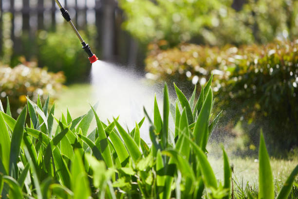 Tamper-Resistant Bait Stations for Rodents in Cookson