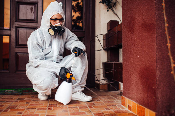 Attic and Crawl Space Rodent Treatment in Cookson
